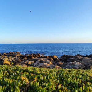 Sète 🌊 (1/3). Clairement, j'ai tellement pris de photos que je vais faire plusieurs posts 🤓 .#sete #france